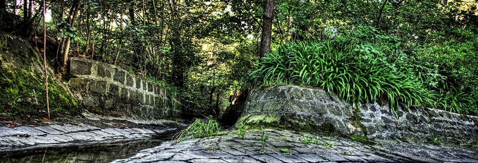 免费短信轰炸机